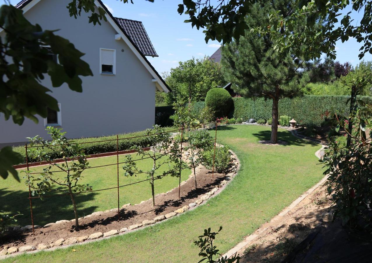 Duft- Und Parfuemfreie Allergiker-Fewo Mertendorf Exterior photo